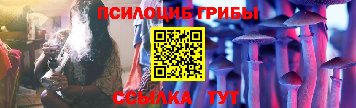 Звенигород  закладки  Вход с VPN  Псилоцибиновые грибы Magic Shrooms 